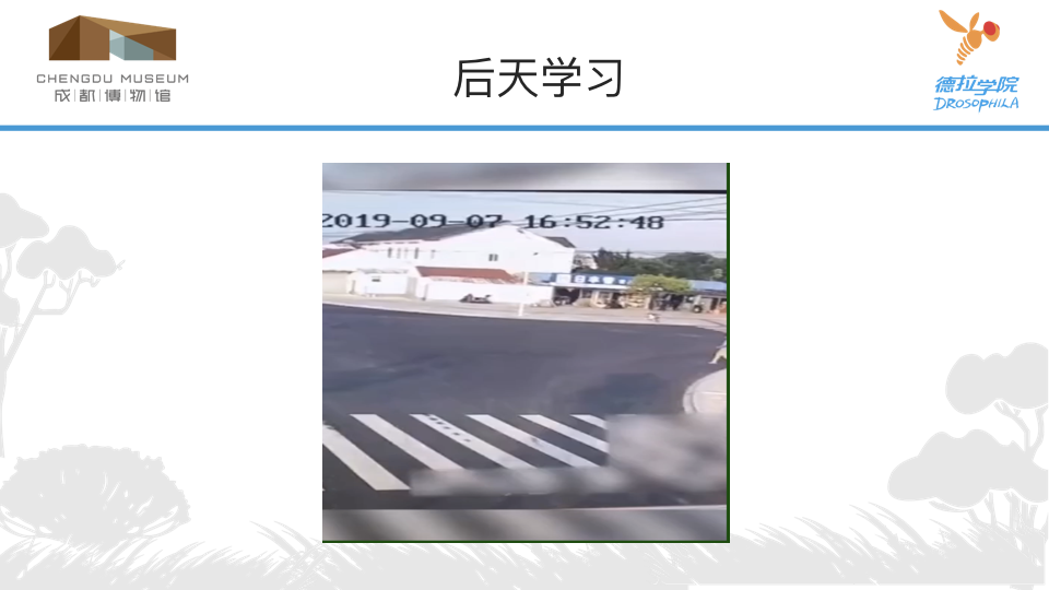 动物学校 2.009.png