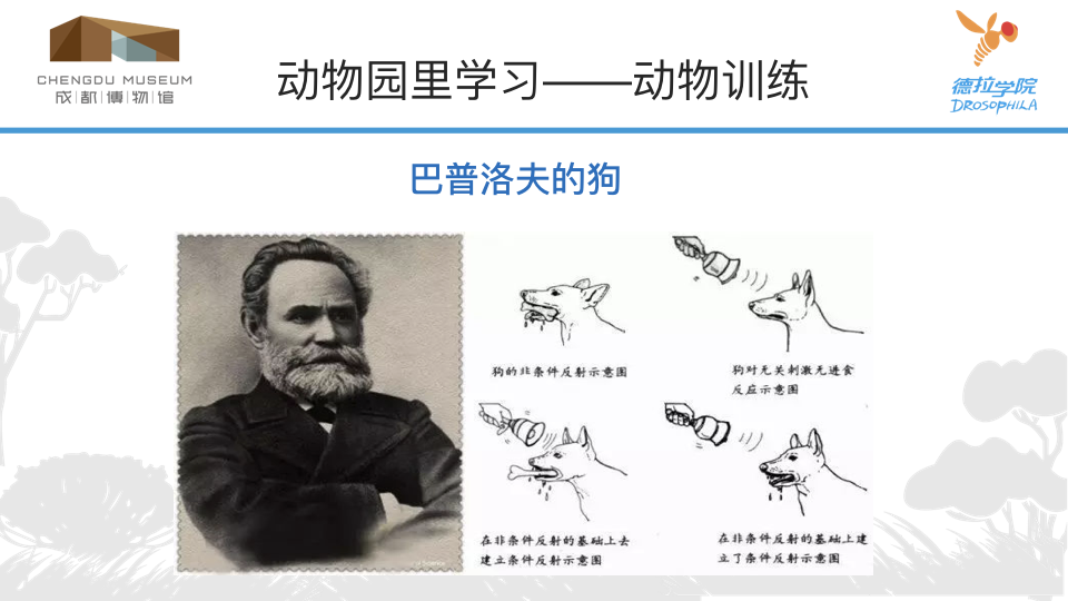 动物学校 2.010.png