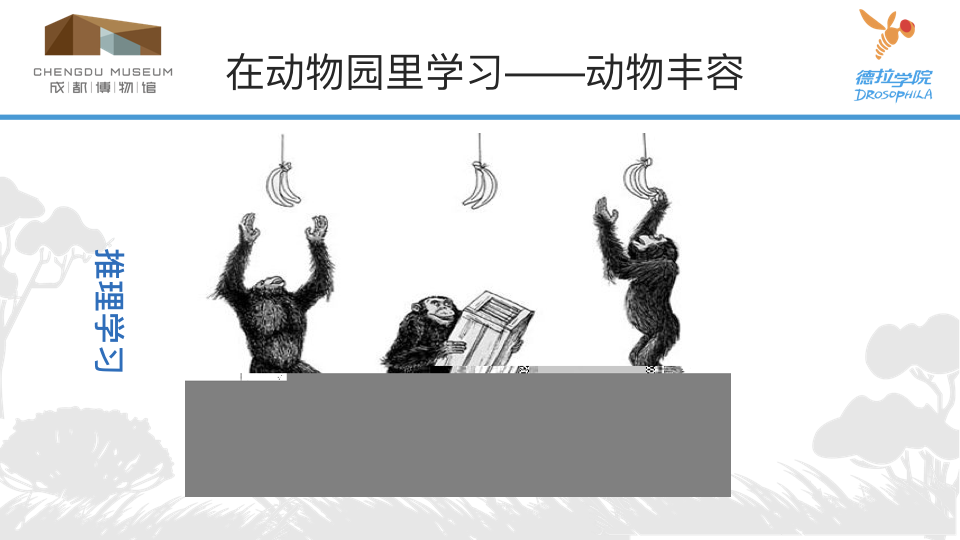 动物学校 2.012.png