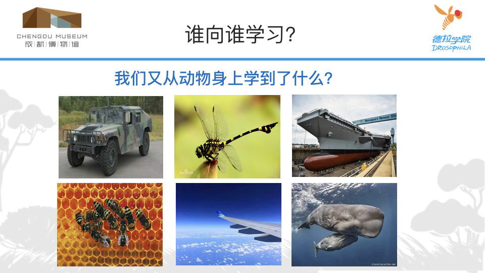 动物学校 2.014.png