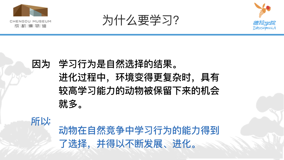 动物学校 2.015.png