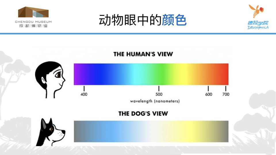 动物眼中的世界.021.jpeg