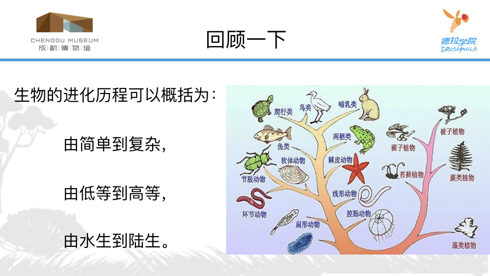 走进动物王国.030.jpeg