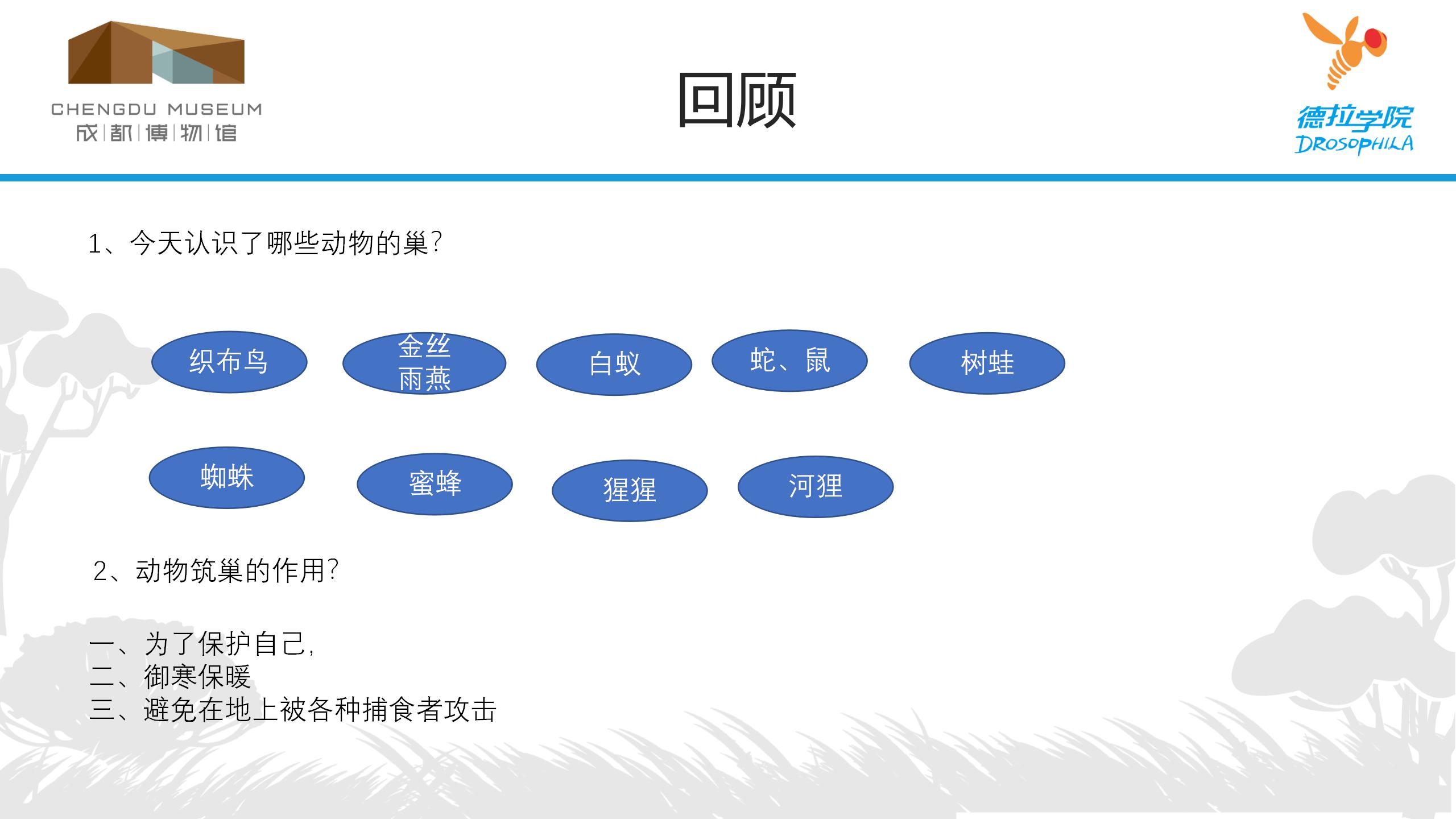 动物建筑师_21.jpg