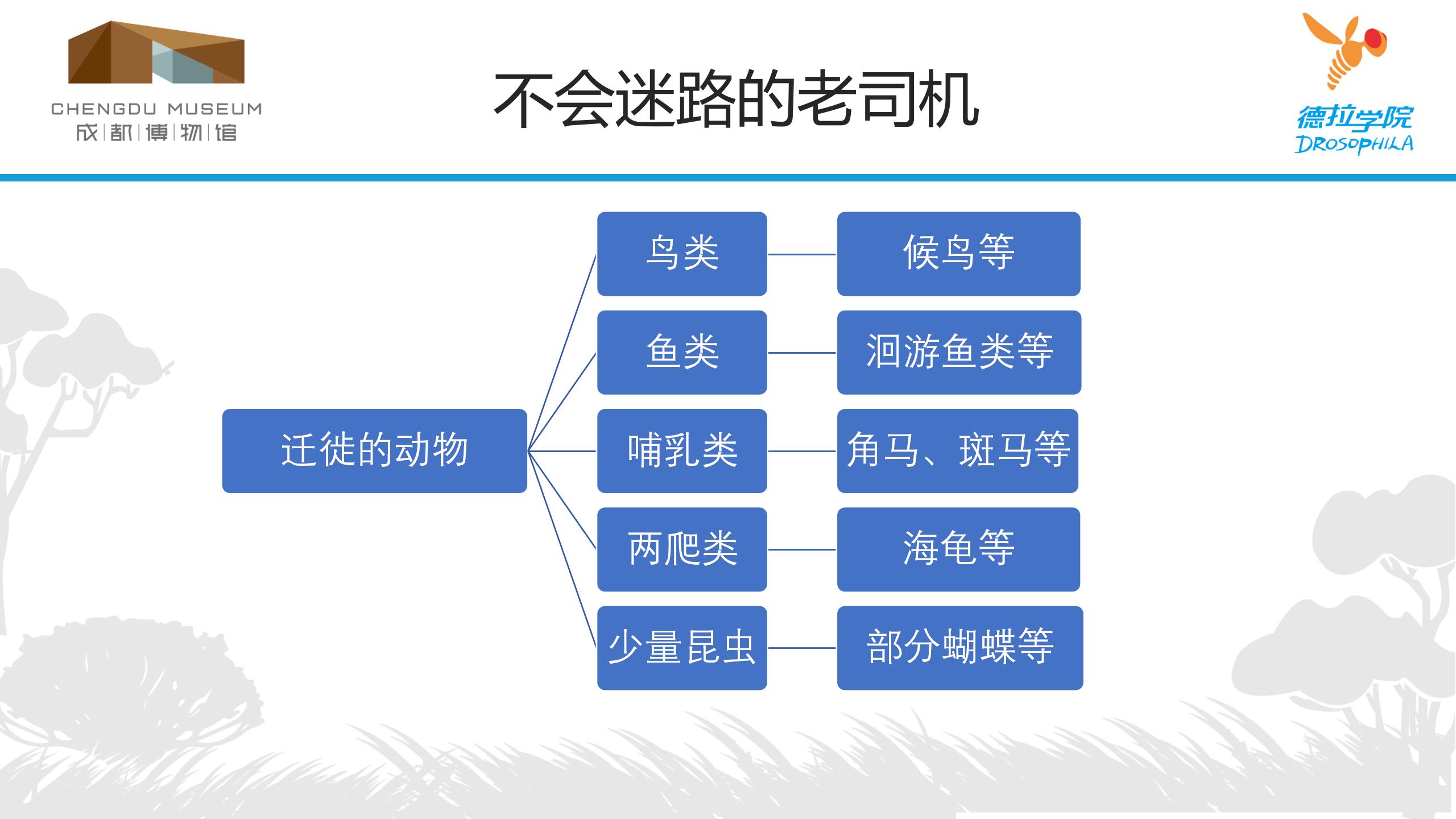 不迷路的老司机_06.jpg